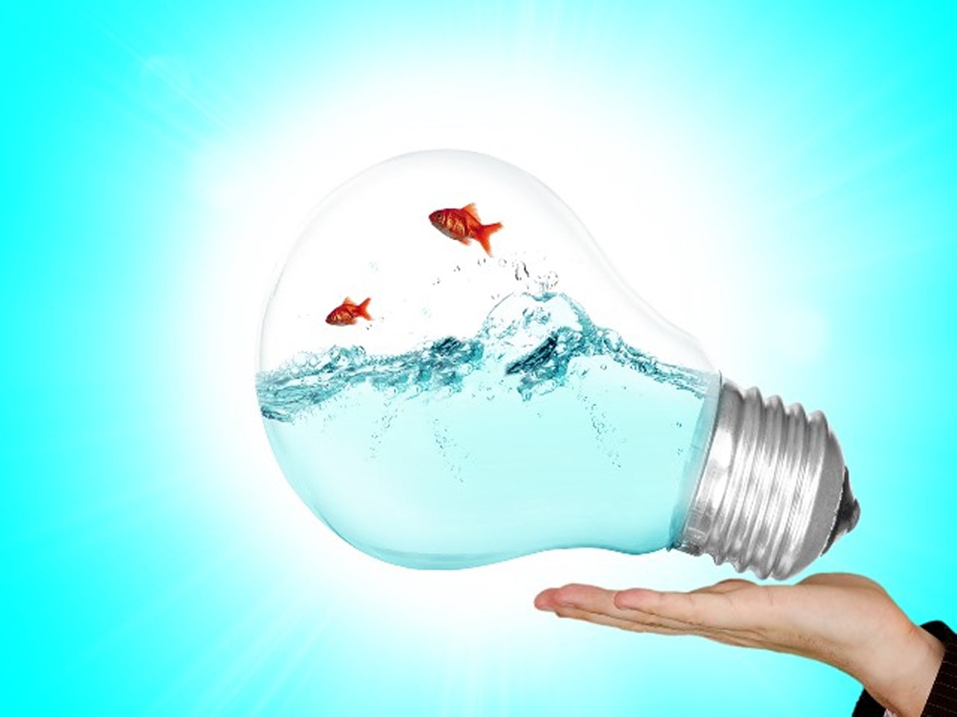 Projektmanagement: Grundlagenseminar oder Spezialisten Workshop